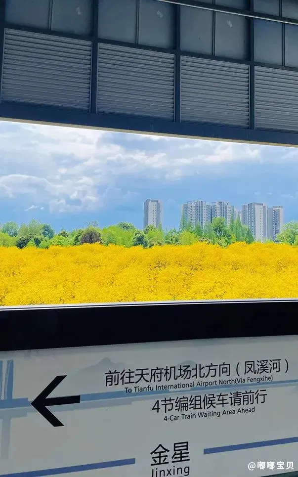为什么篮球教练要重视球员的心态建设_2